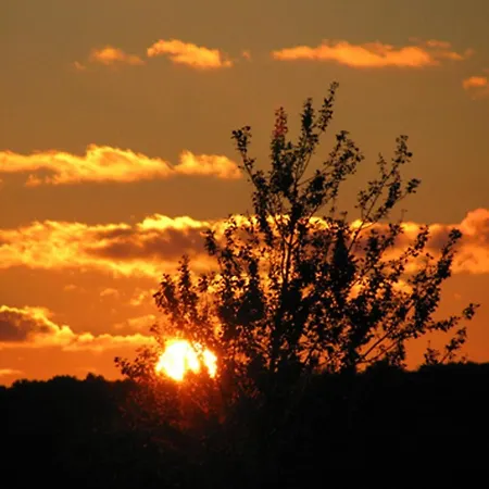 Ferienhaus-heisser-sand-whg-7 Daire Wittdün